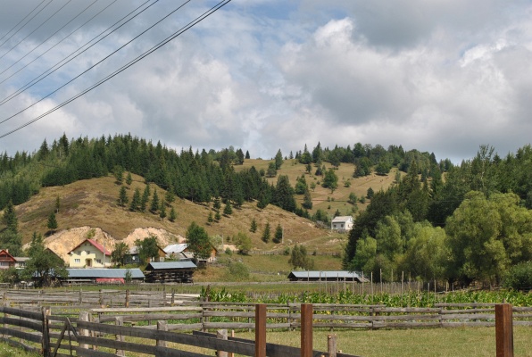 58. Poiana Micului